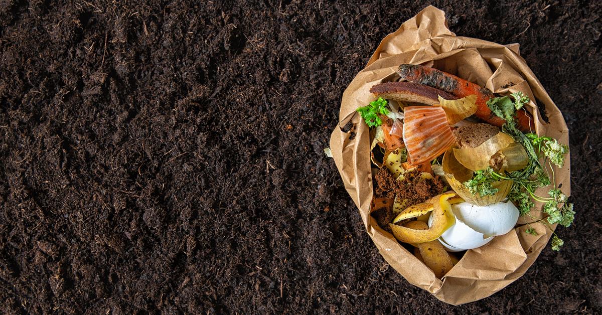 can compost get wet