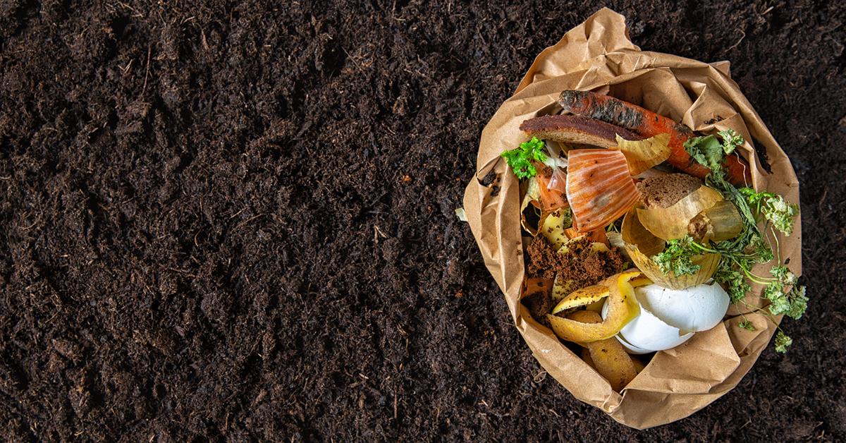 How Long Does Compost Take to Break Down?
