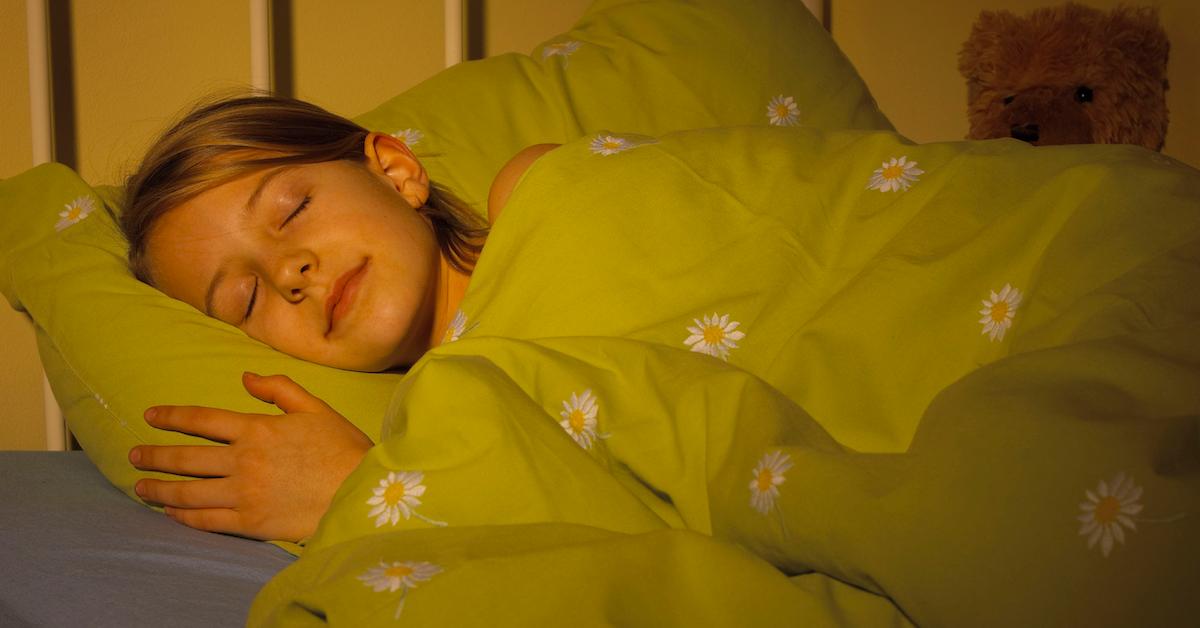 What Are the Best CrueltyFree Down Comforter Alternatives?