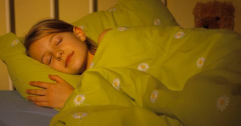 best cruelty free down comforter alternatives