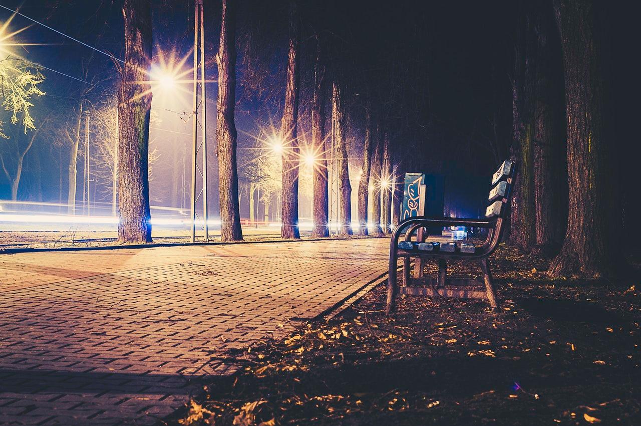 This Dutch Town Installed Bat Friendly Led Street Lights