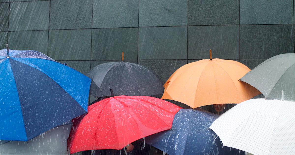 What Causes Acid Rain?