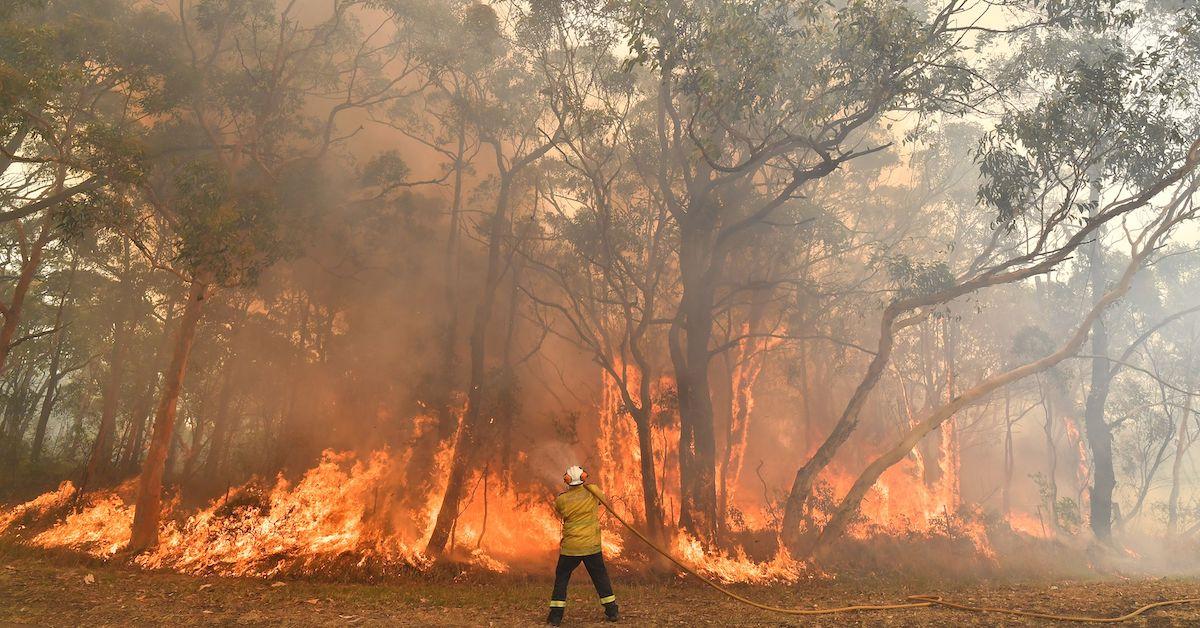 australian bushfires everything you need to know