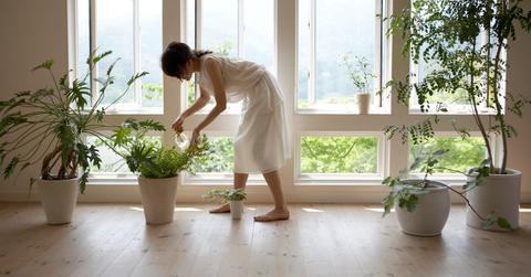 How to make concrete planters