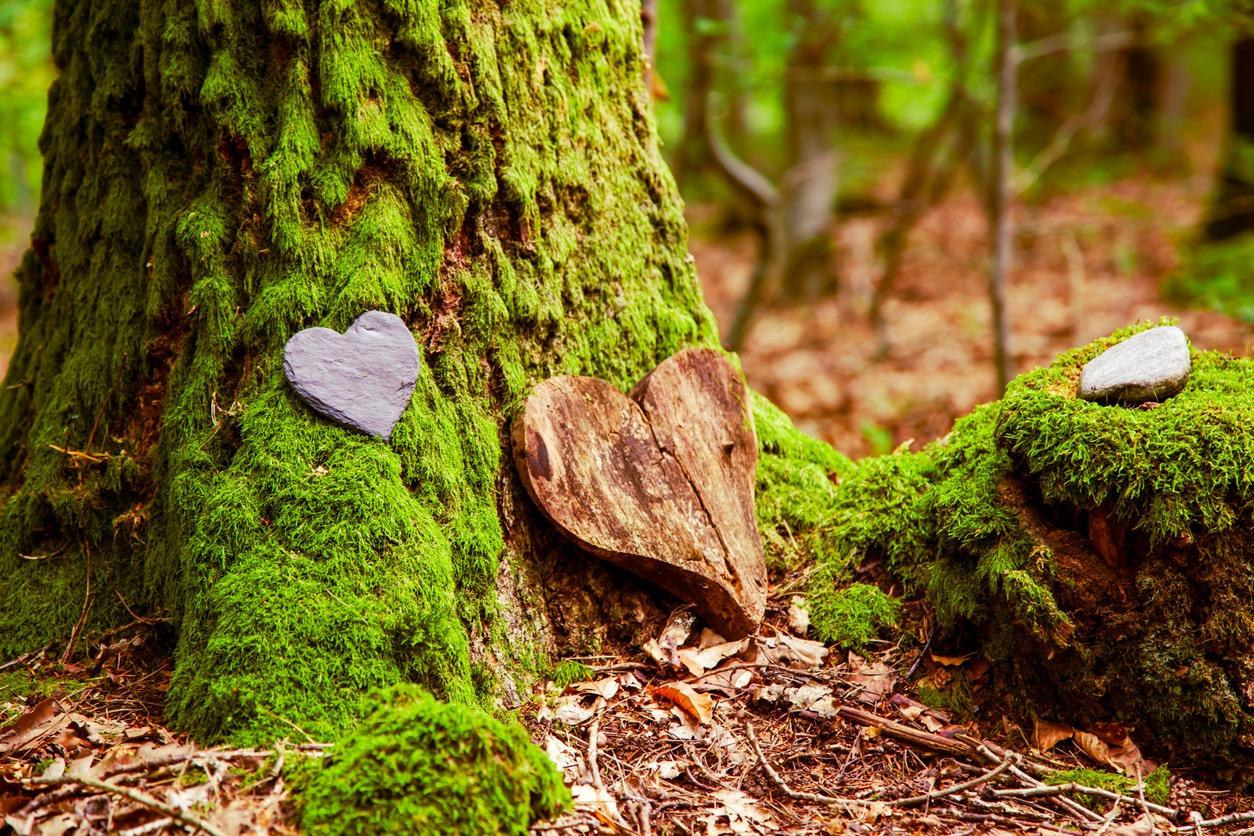 Tree Burial