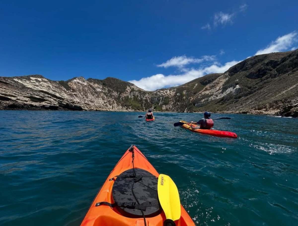 pn/dece aec ae ac ab