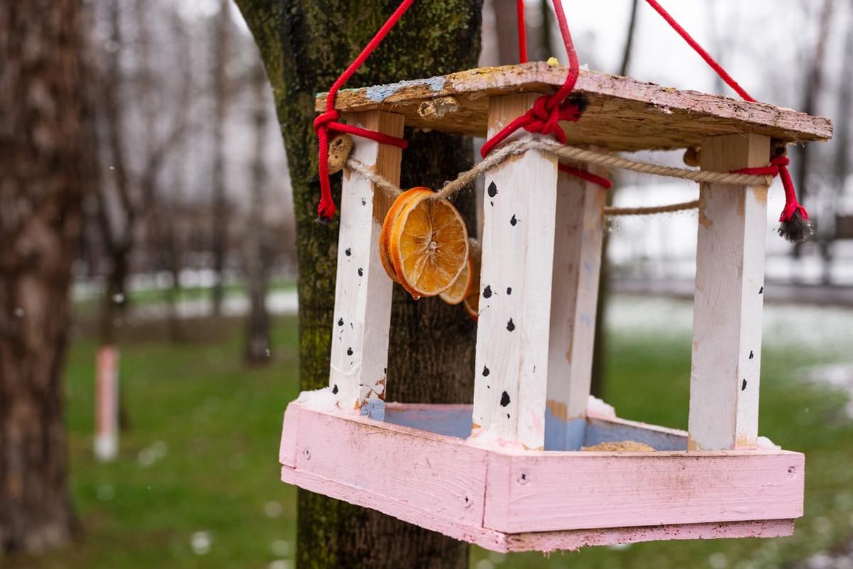 paper plate bird feeder