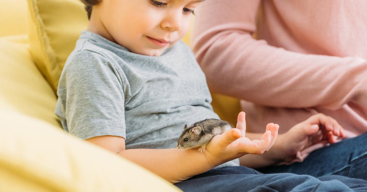 best small pets for kids hamster