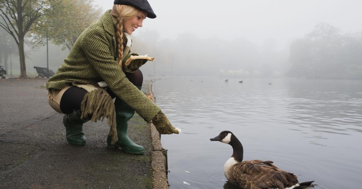 A woman feeding a goose in a pond. 