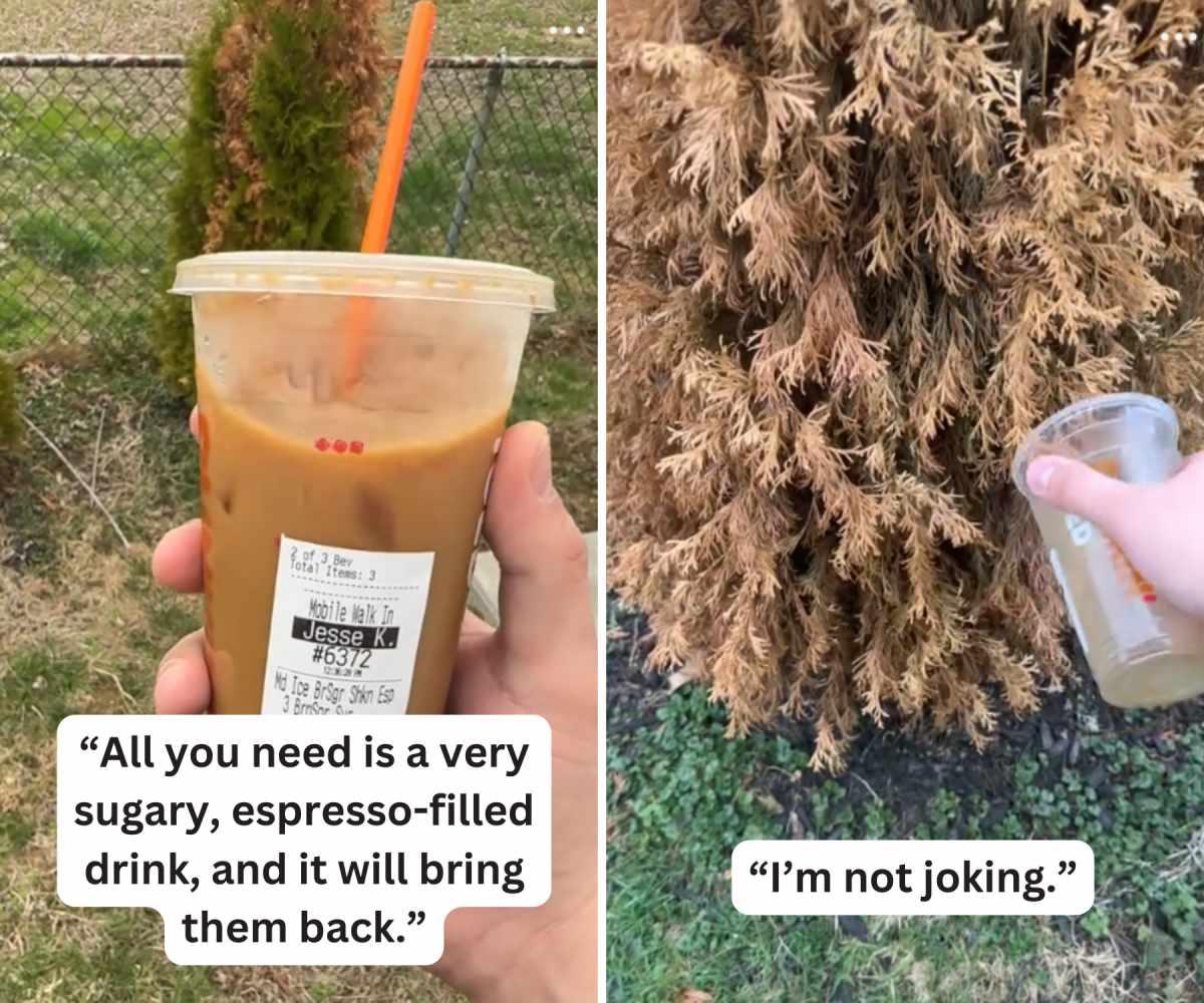 pn/afcab a ff be eaba