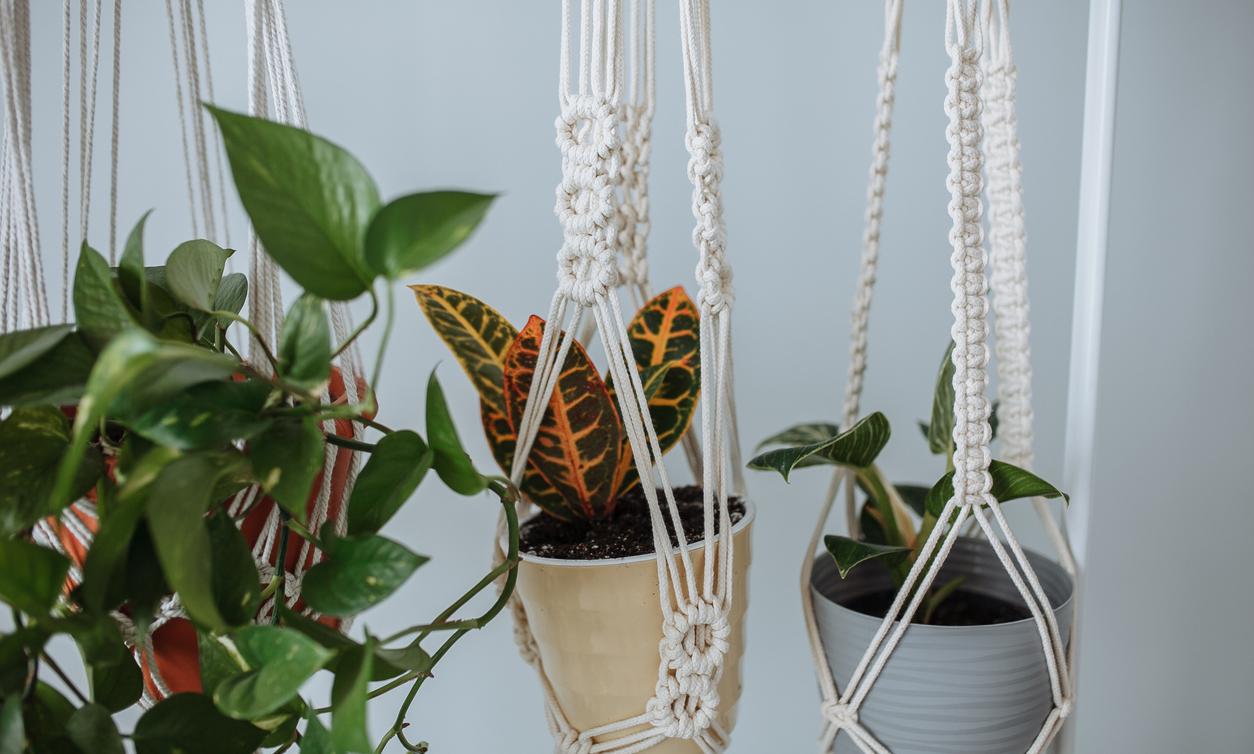12 of the Best Fun and Free Macrame Patterns For You