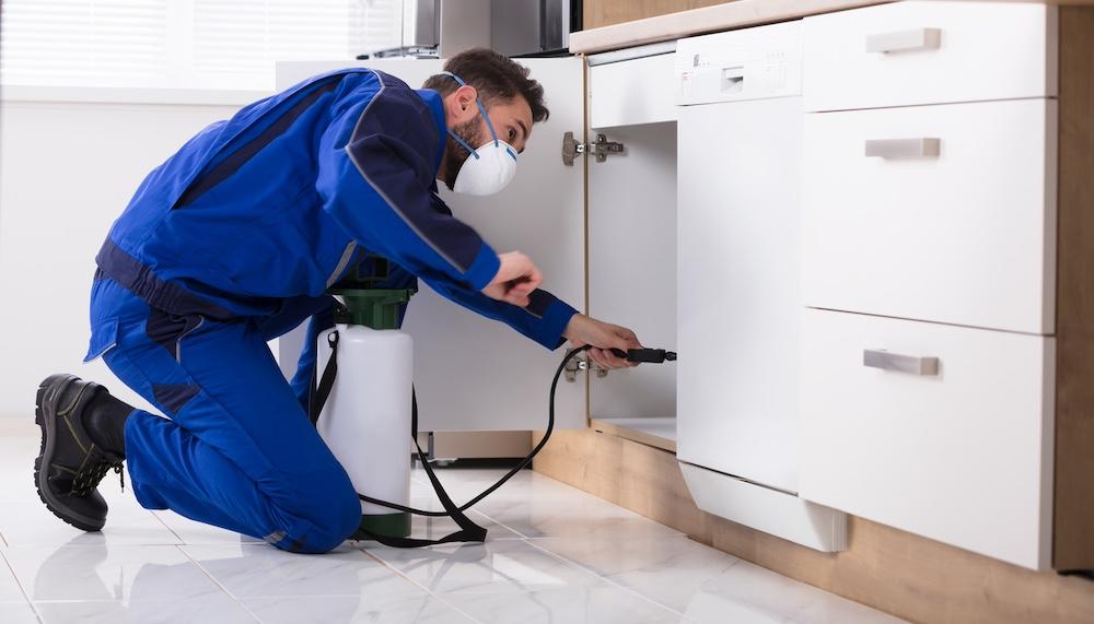 A pest control worker exterminating a roach infestation in a kitchen. 