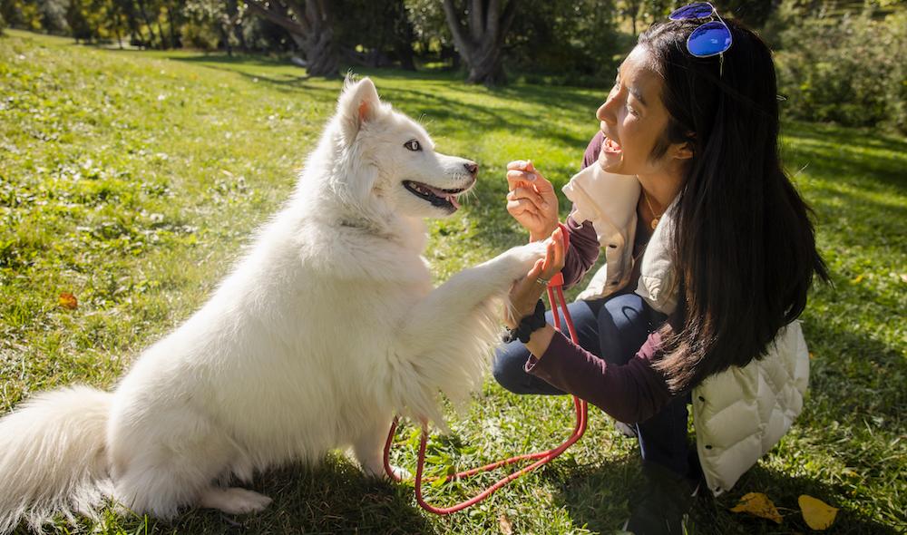 A Dog and Owner