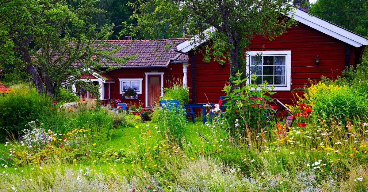 A red house with a backyard full of wildflowers .