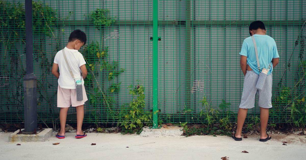 Two little boys are urinating on the plants near the fence of a garden. (Representative Cover Image Source: Getty Images | Szefei)
