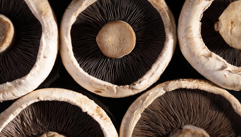 What Are the Negative Effects of Portobello Mushrooms?