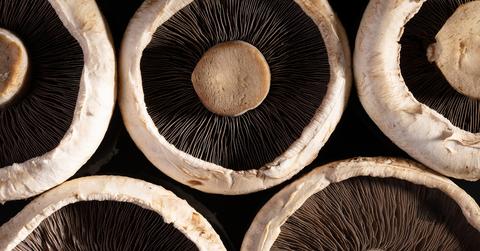 A close up image of five portobello mushrooms with the gills facing up.