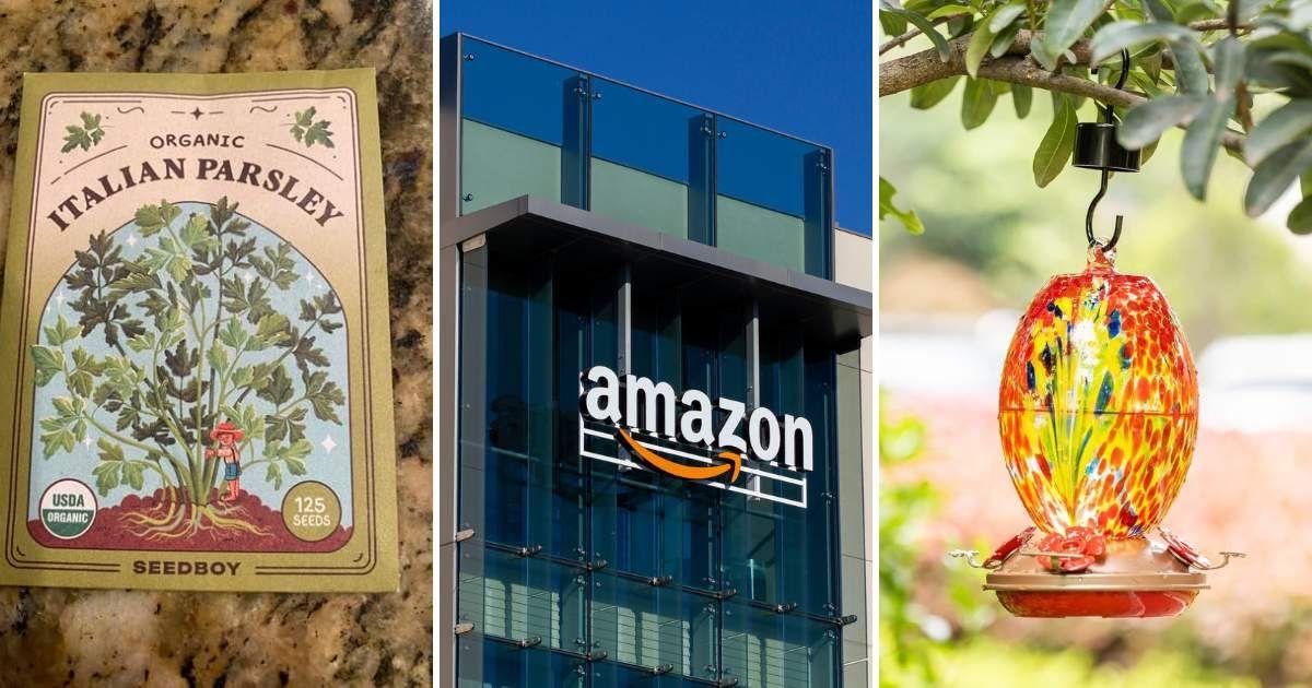 (L), (R) Gardening products available on heavy discounts on Amazon Prime Day (Cover Image Source: Amazon) | (C) Amazon logo carved on a building (Representative Cover Image Source: Getty Images | Happabappa)