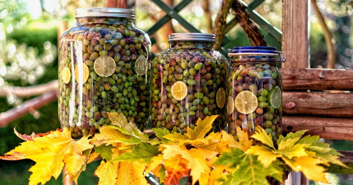 Jars of olives sit atop a bed of leaves