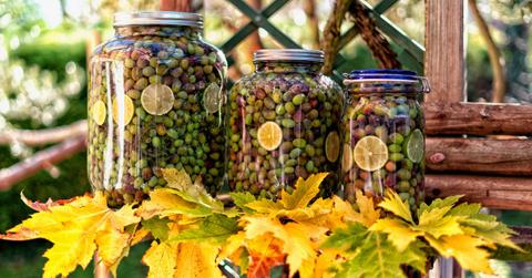 Jars of olives sit atop a bed of leaves