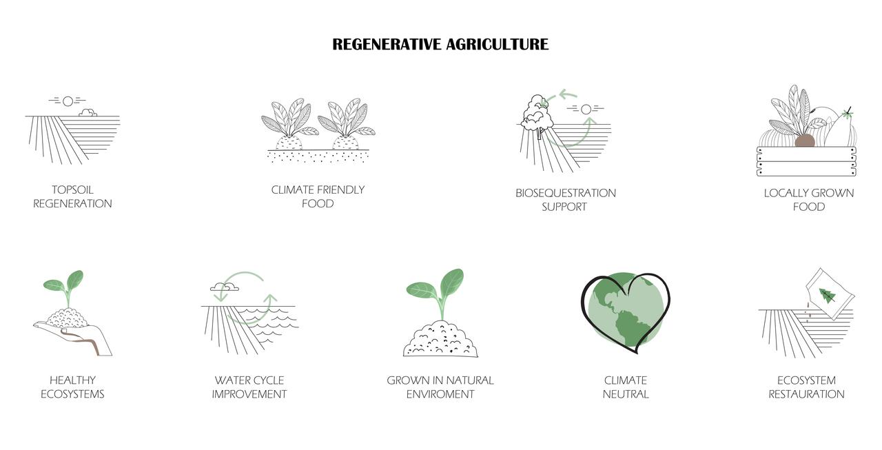 Regenerative Home Gardening Tips to Make Your Yard More Sustainable