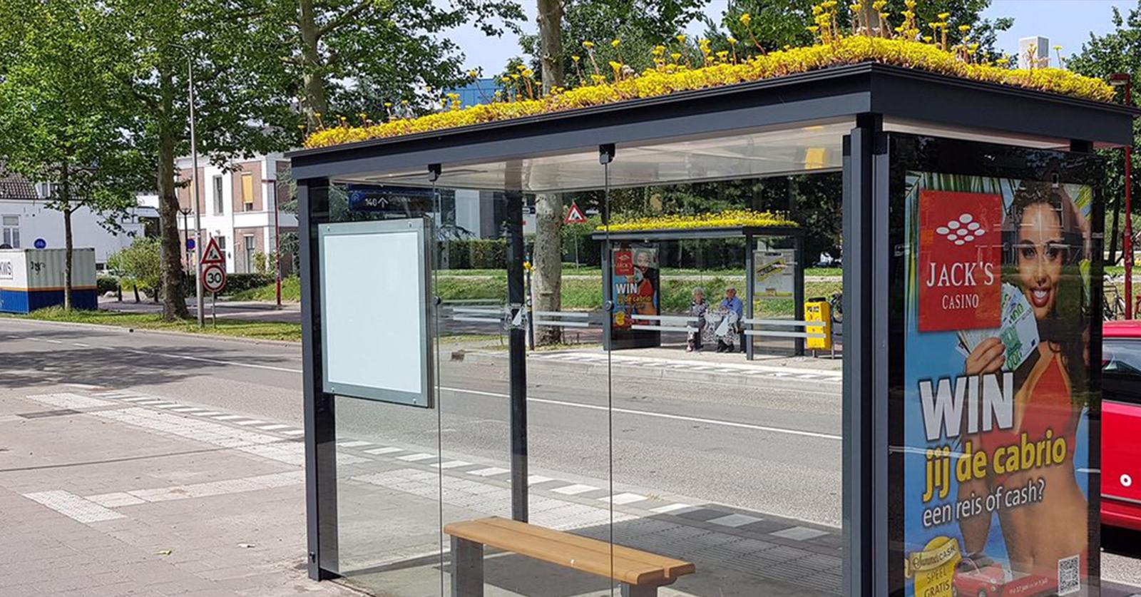 316 Dutch Bus Stops Are Now Covered in Flowers, Creating Bee Oasis