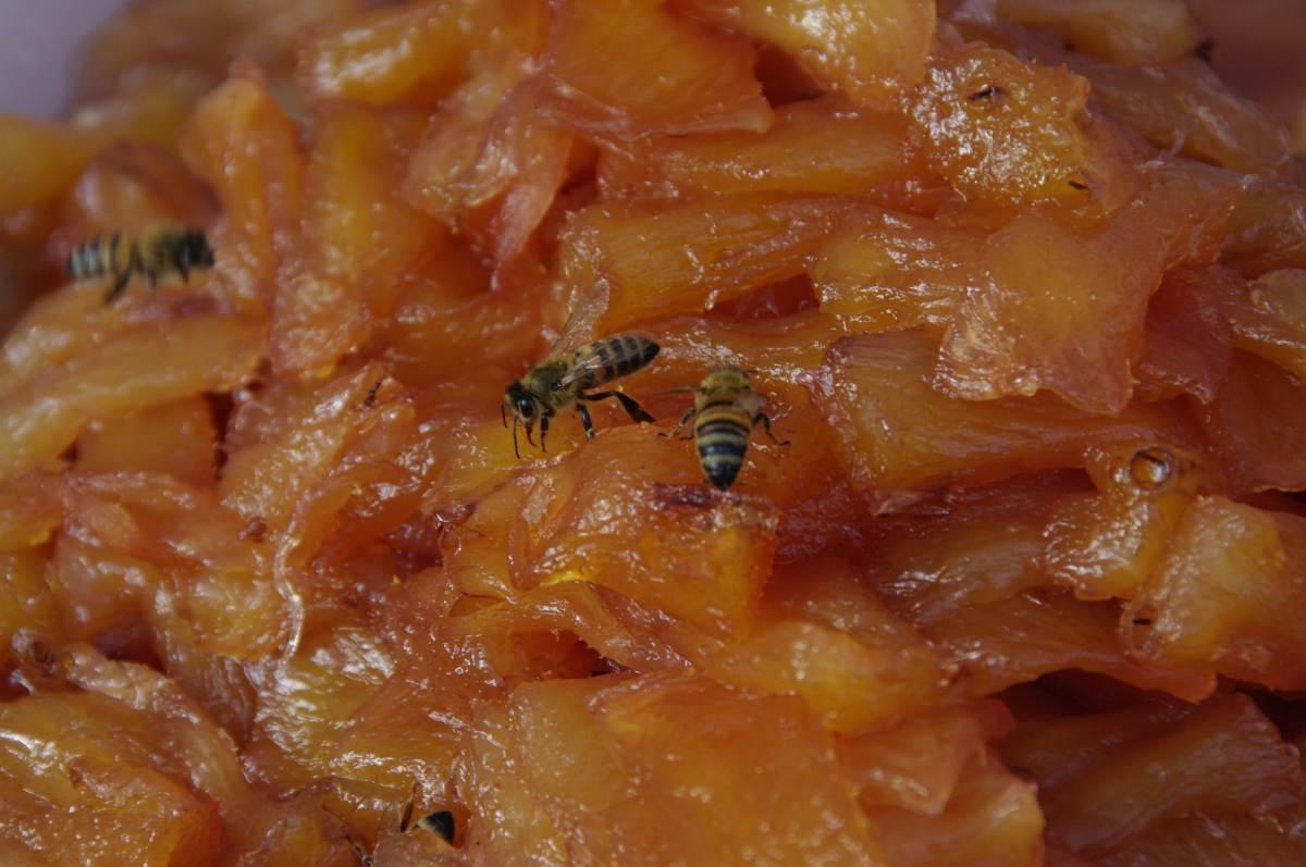 pn/de cf ed be eaacfadc