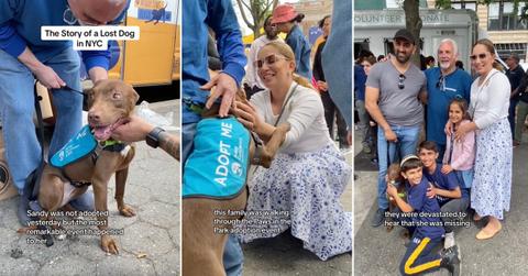 Three screenshots of a TikTok video featuring Mocha the dog and her family