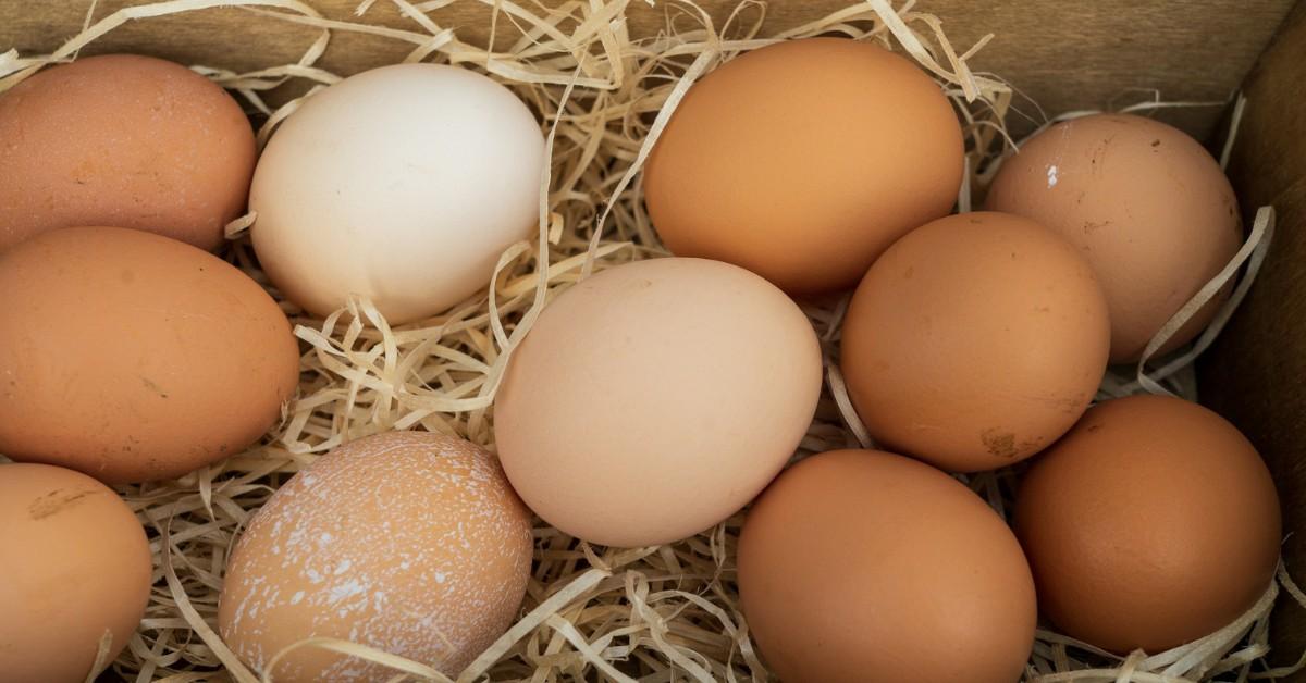 Brown and white eggs sit in an egg bin