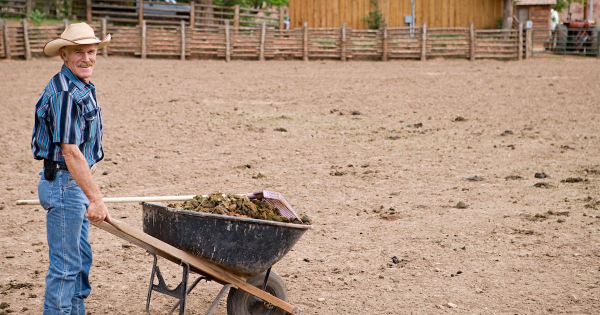 What Is the Best Manure for Vegetable Gardening?