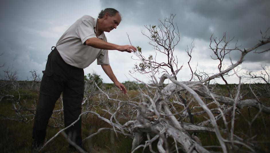 What Do Ecologists Do?