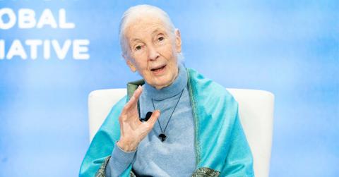 Jane Goodall addresses a crowd at a convention