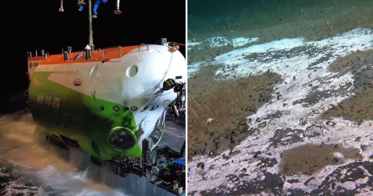 Chinese scientists aboard a submersible discovered a mysterious world of creatures at 31,000 feet deep into the Pacific waters (Cover Image Source: Facebook | Nature)