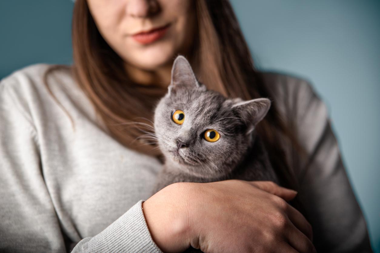 A gray cat with orange eyes cuddles into a woman's arms.