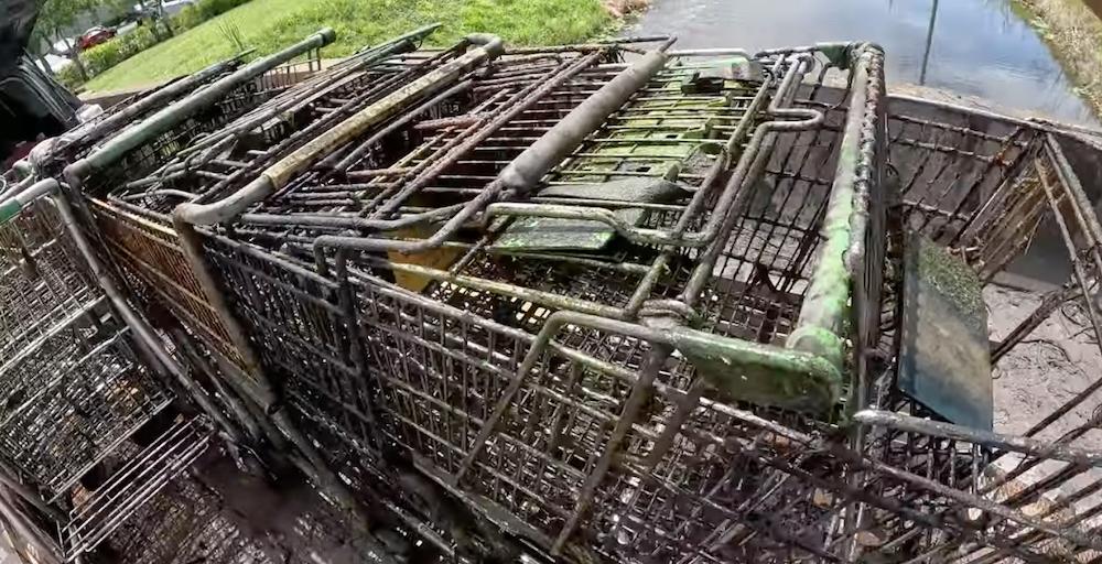 Why Is Fishing Illegal? Inside the Hobby's Pros and Cons