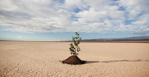 El Nino Southern Oscillaton