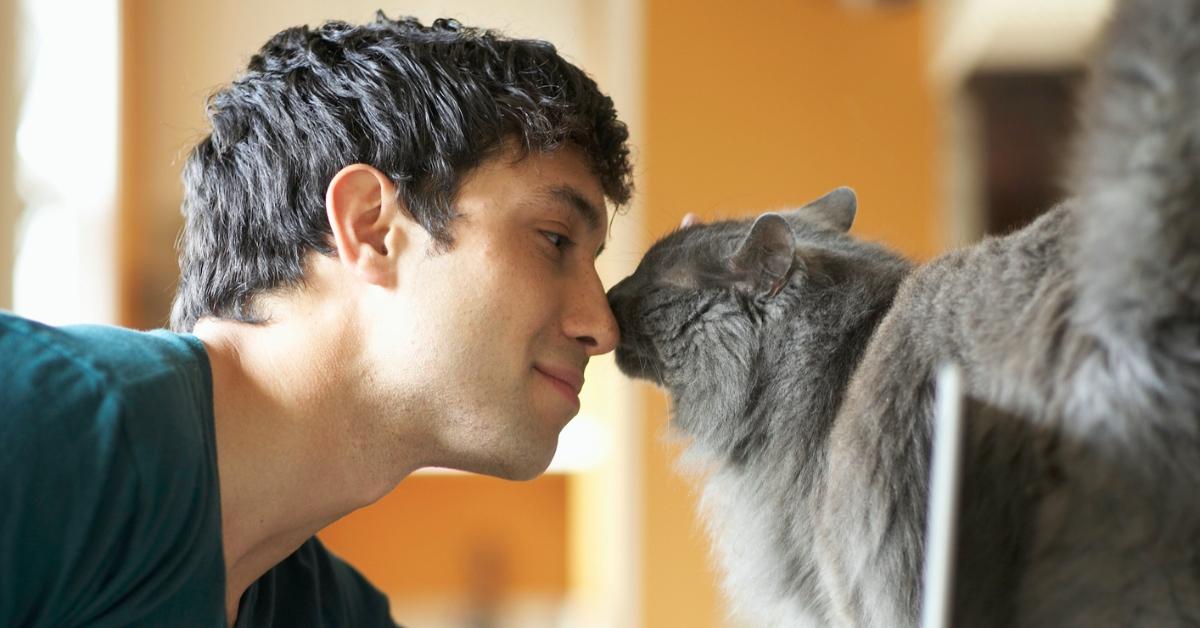 A man giving his cat a love nudge. 