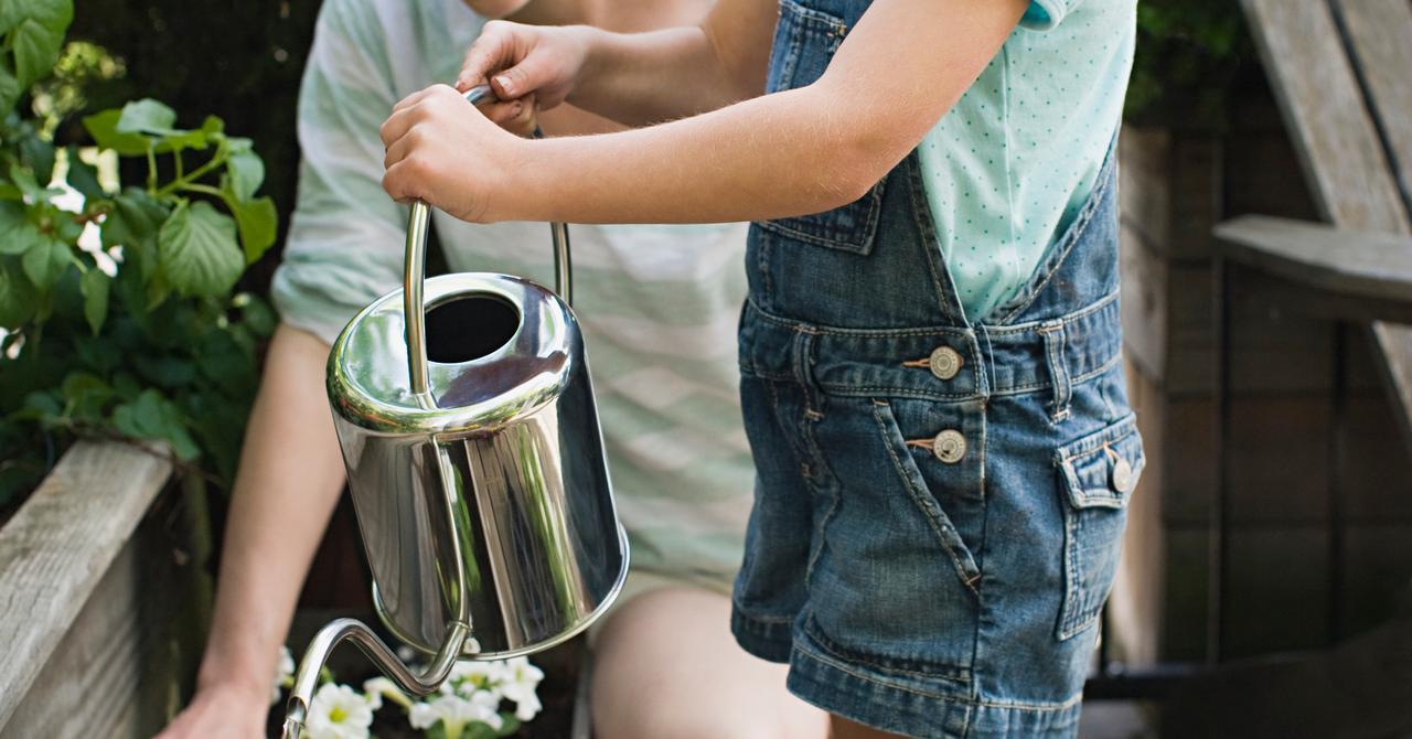 How to Start Urban Gardening, If You're Living the City Life