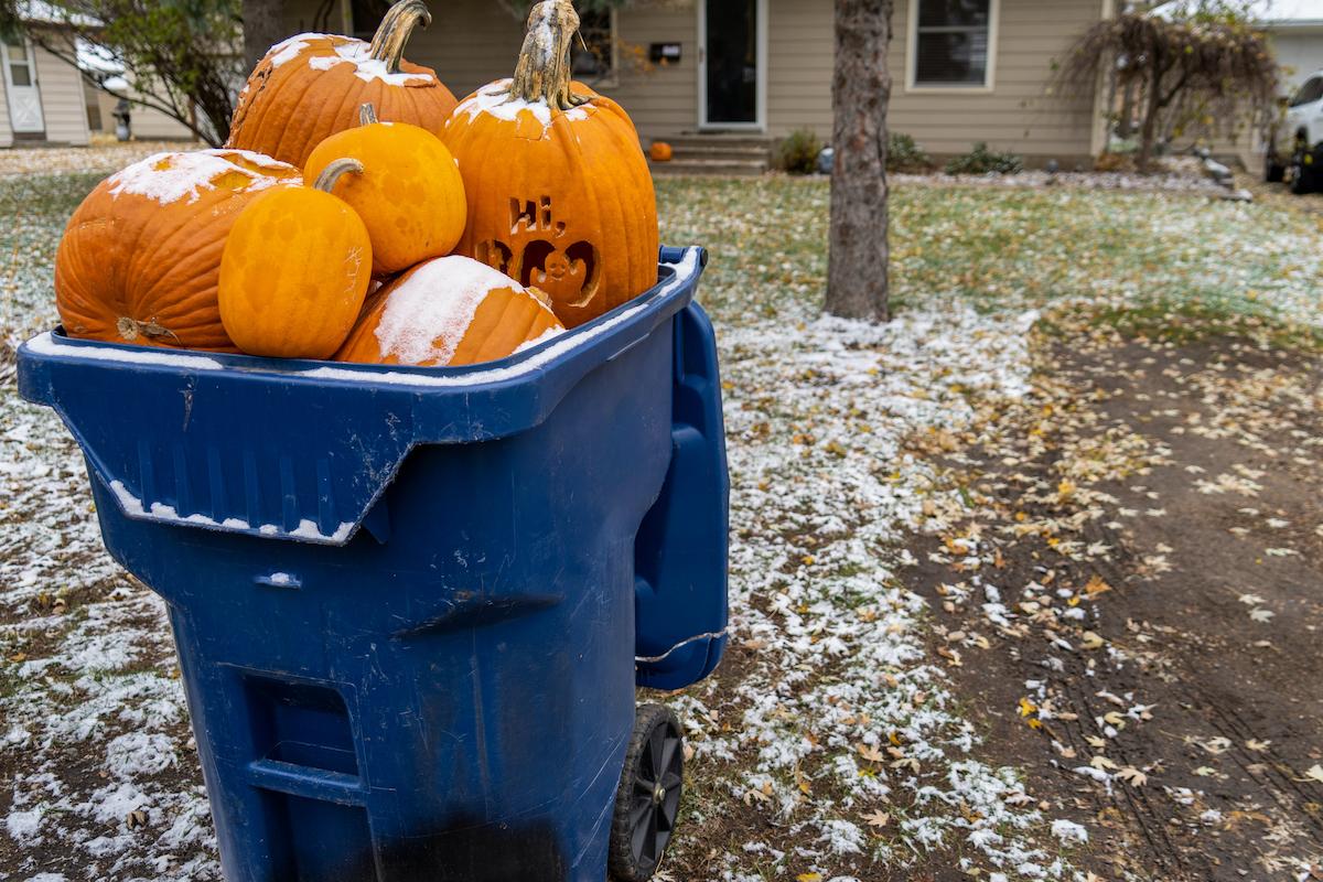 pumpkin trash donate