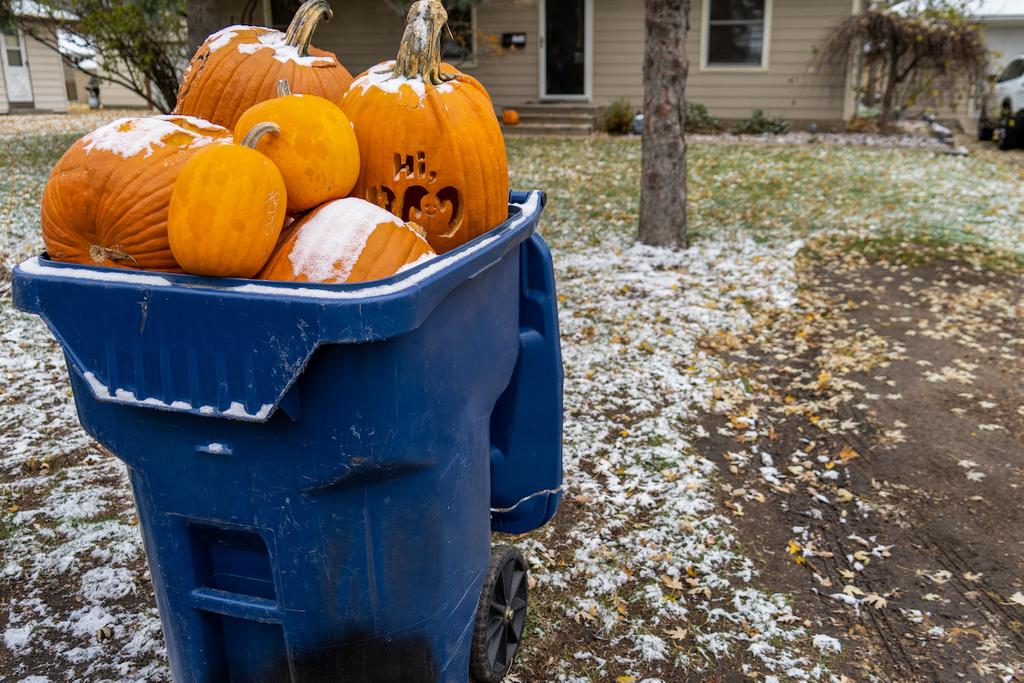 What to Do With Old Pumpkins Cooking, Composting, Donating, Oh My!