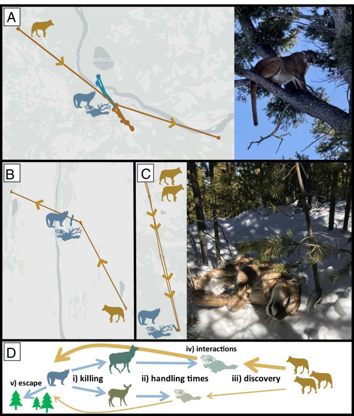 pn/adcb fa ba fb ecbfc
