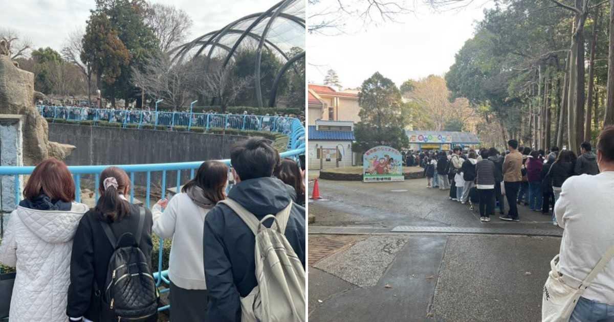 pn/bcfb fde d d cabdf