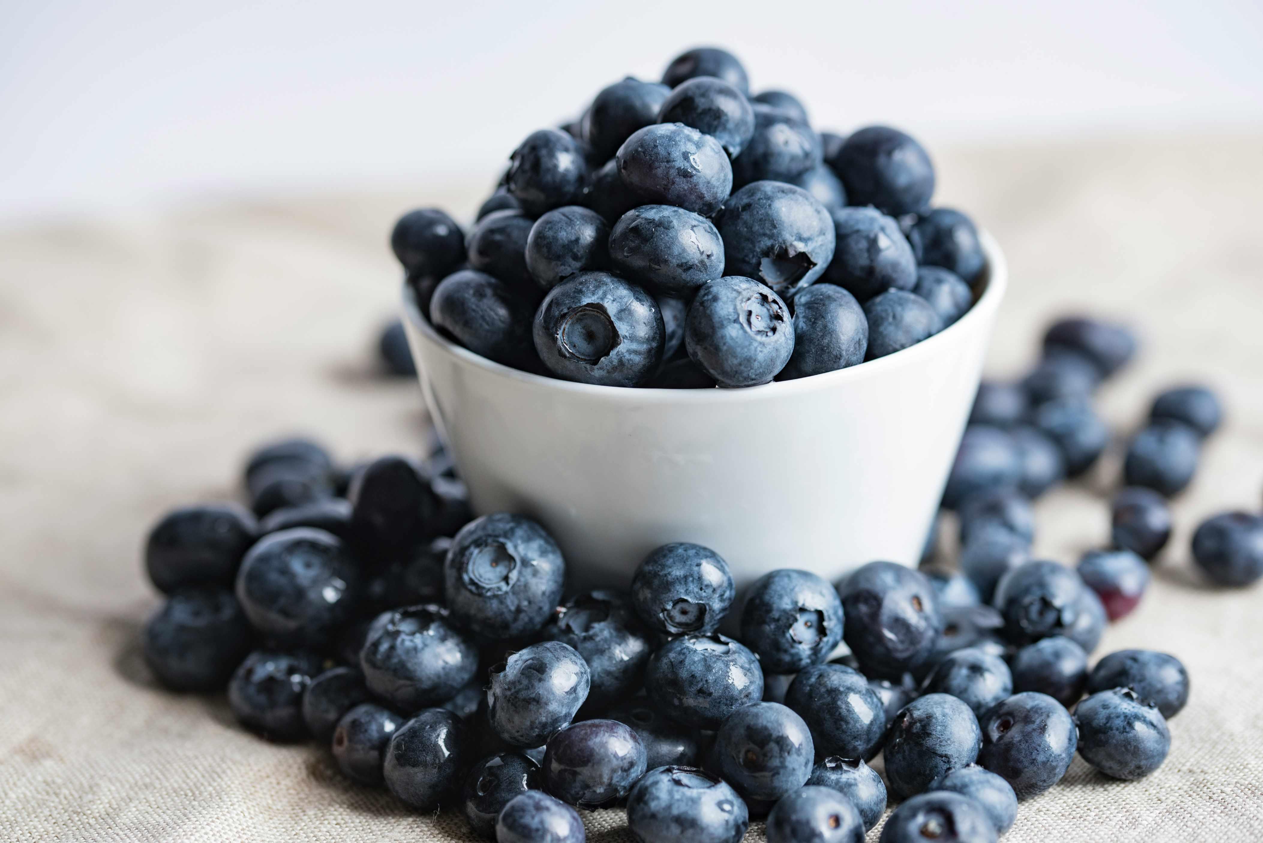 Several blueberries are pictured in a white container with blueberries overflowing on the sides of the container.