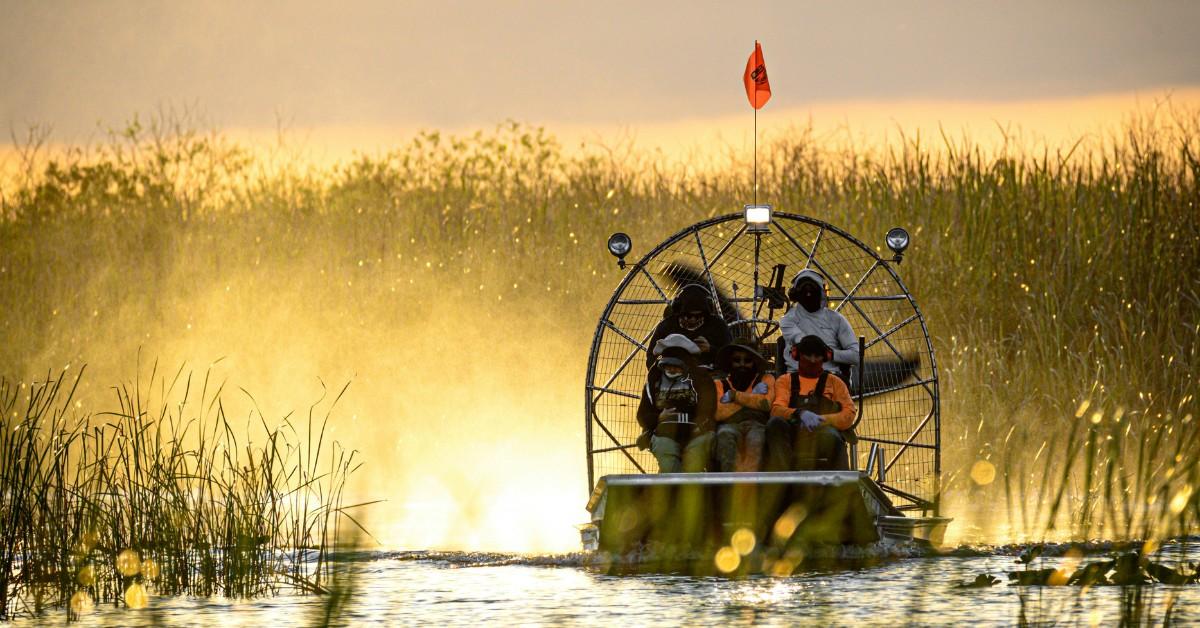 An airboat carries passengers across the Everglades 