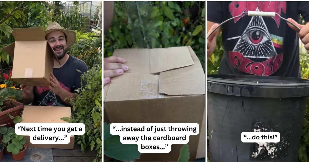 Gardener demonstrates a genius hack to repurpose all those pesky delivery boxes you get from Amazon (Cover Image Source: TikTok | @joesgarden)