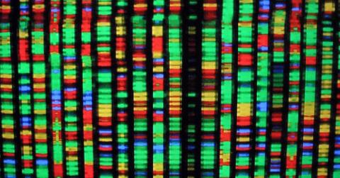 Can the environment change your DNA?