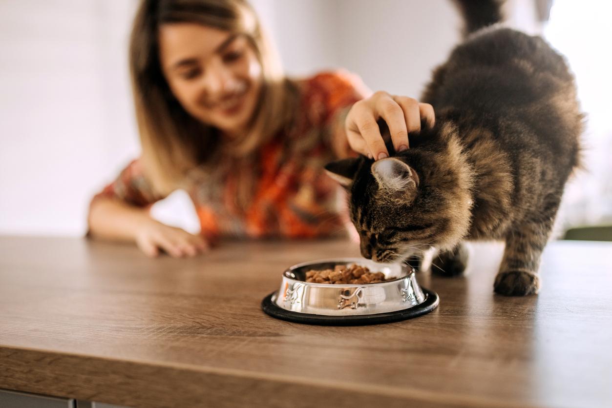 A smiling woman in the background pets her cat in the foreground as the cat eats from a metal food bowl on the wooden kitchen table.