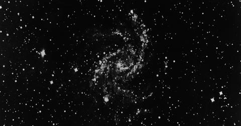 Stars in the universe.