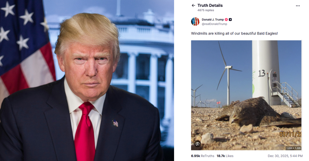 A portrait of Donald Trump appears next to a social media post he shared about windmills