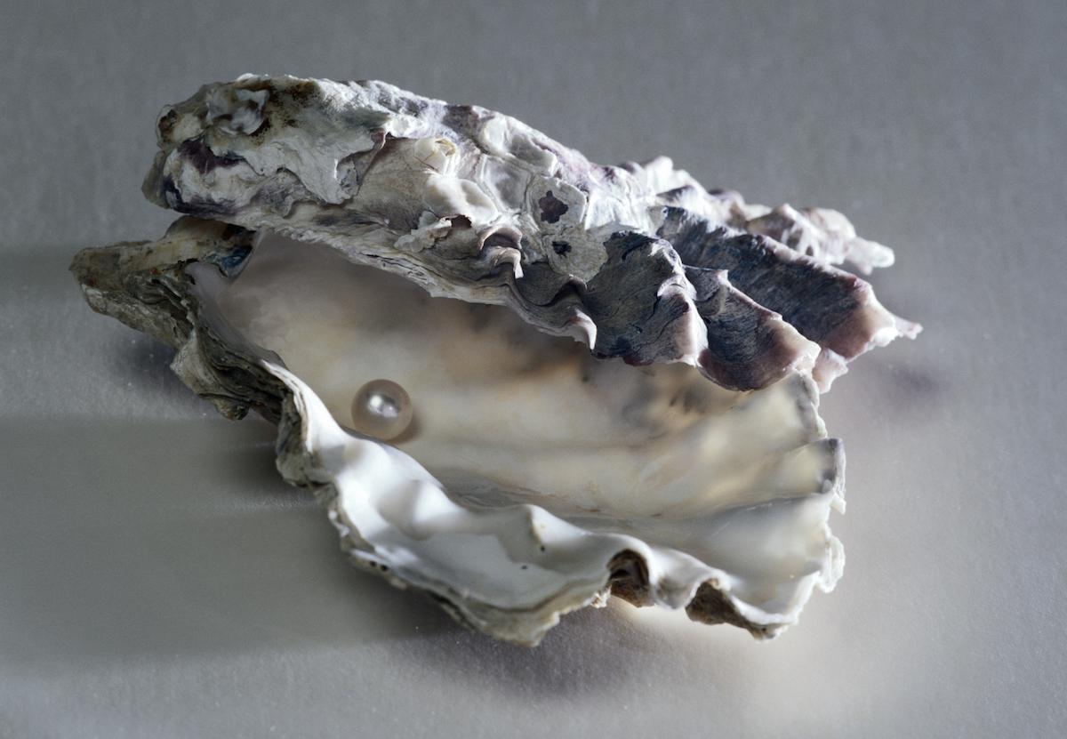 live oysters with pearls inside